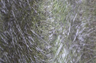 Kirkcolm fibreglass roof work